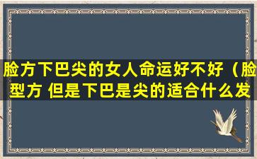 脸方下巴尖的女人命运好不好（脸型方 但是下巴是尖的适合什么发型）